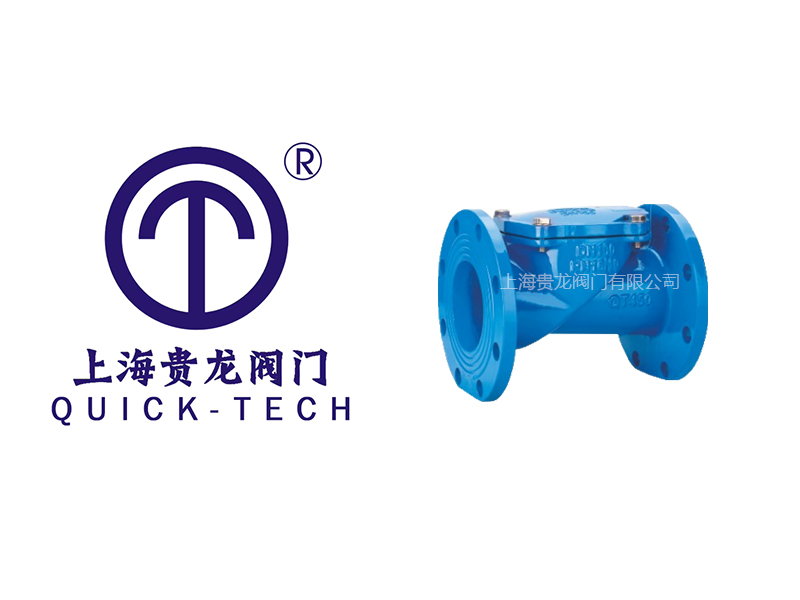 上海貴龍閥門有限公司橡膠瓣止回閥的特點！