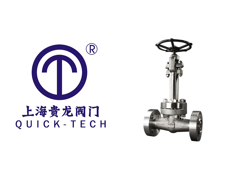 上海貴龍閥門有限公司鍛鋼低溫F316閘閥的工作原理...